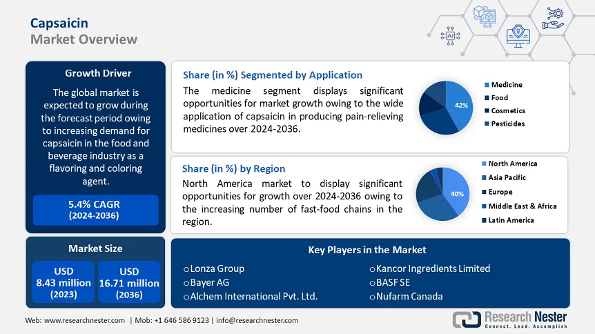 Capsaicin Market Overview